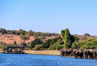 boat cruise at the Chobe national pak with elephants seen in the background